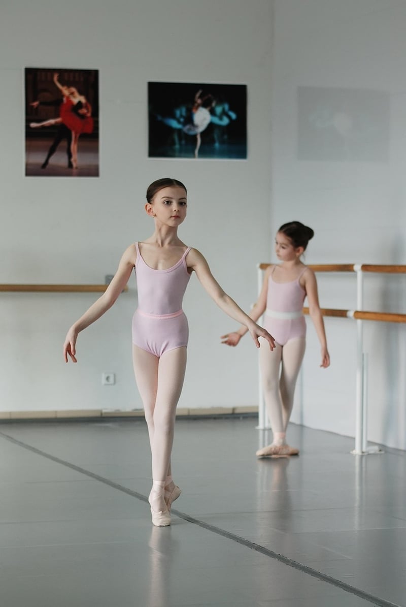 Barre Dance Ballet Training